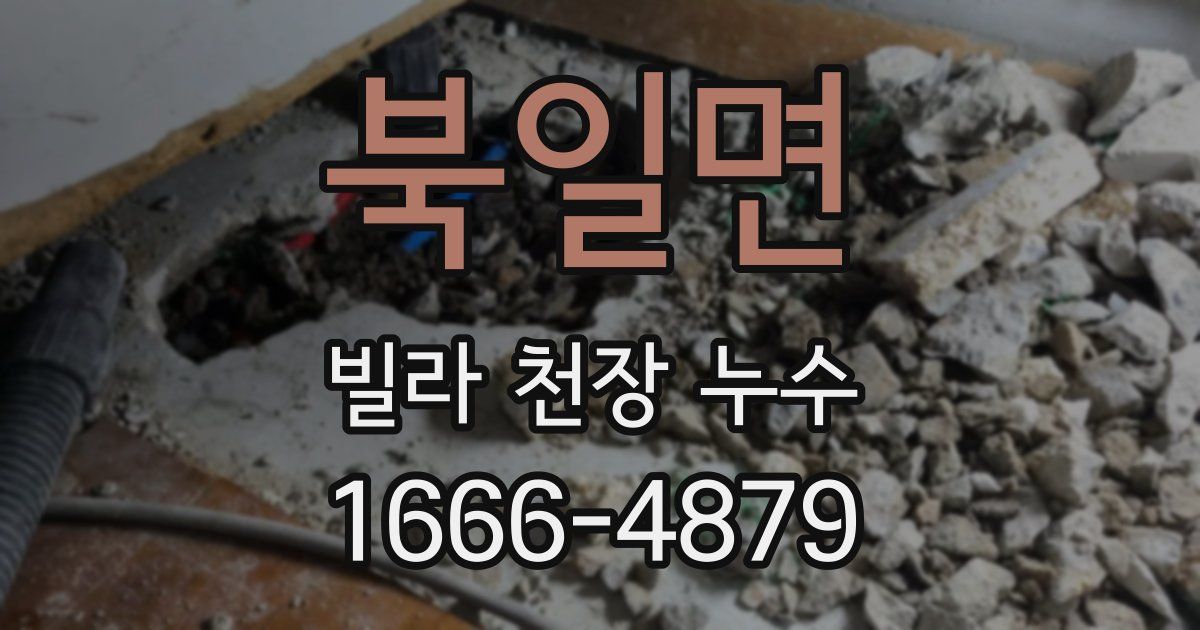 북일면 빌라 천장 누수