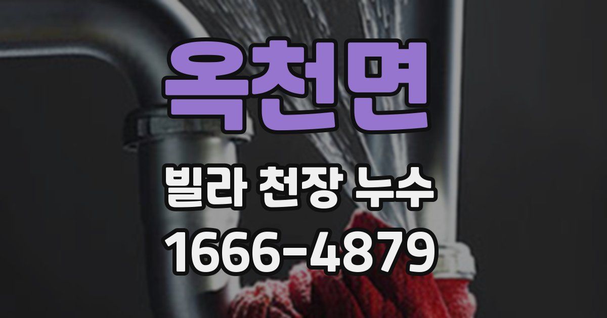 옥천면 빌라 천장 누수
