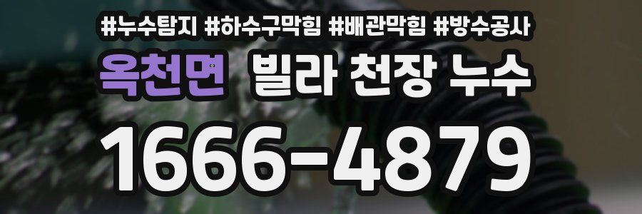 옥천면 빌라 천장 누수