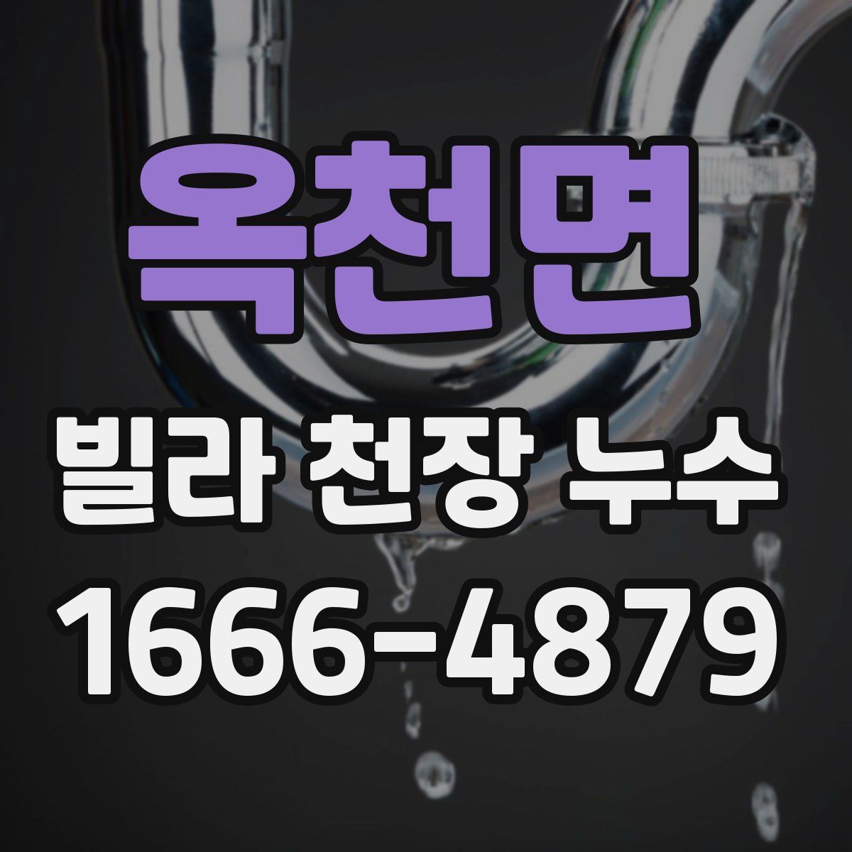 옥천면 빌라 천장 누수
