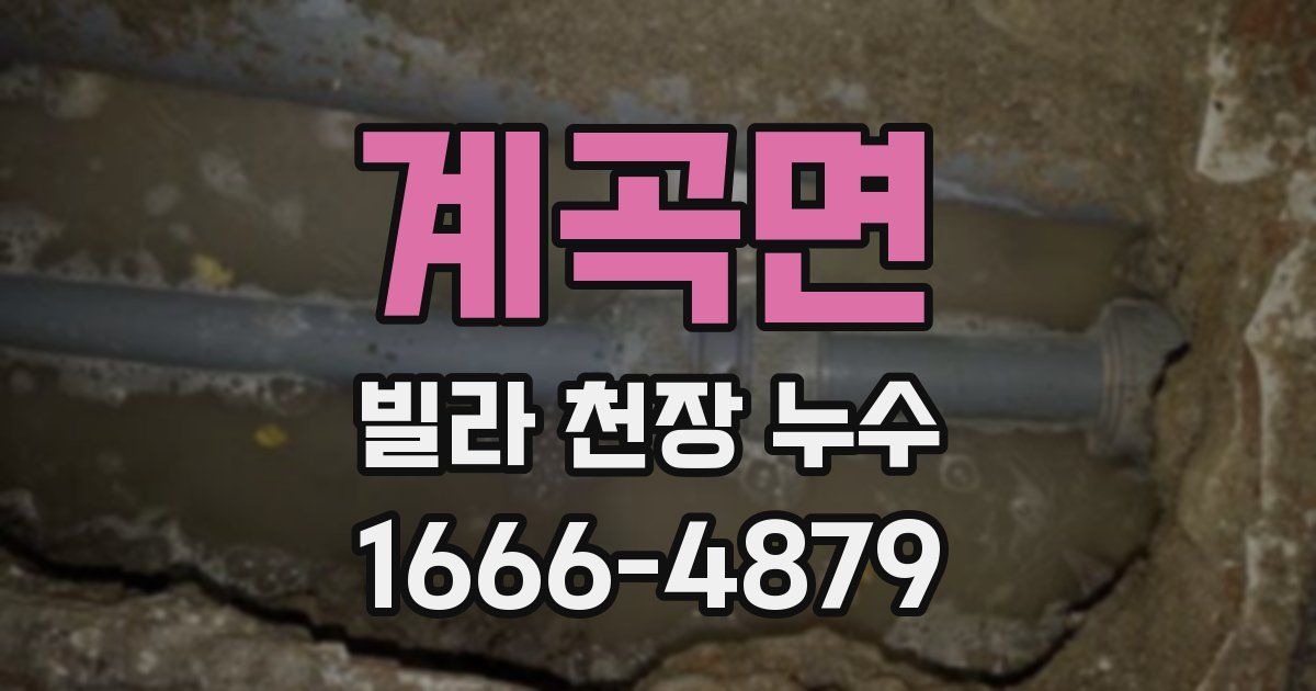 계곡면 빌라 천장 누수