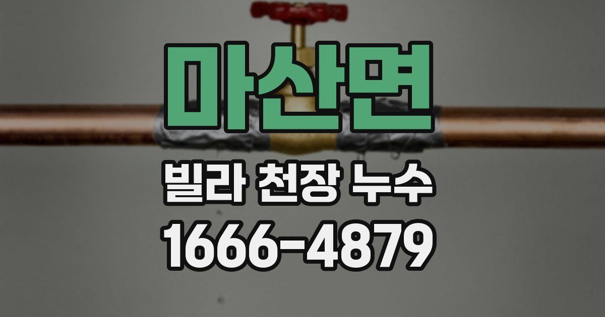 마산면 빌라 천장 누수