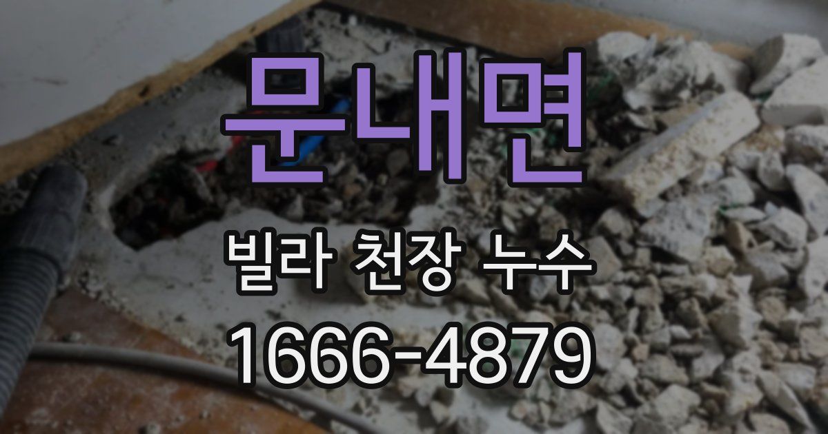 문내면 빌라 천장 누수