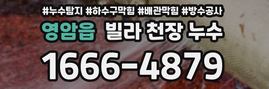 영암읍 빌라 천장 누수