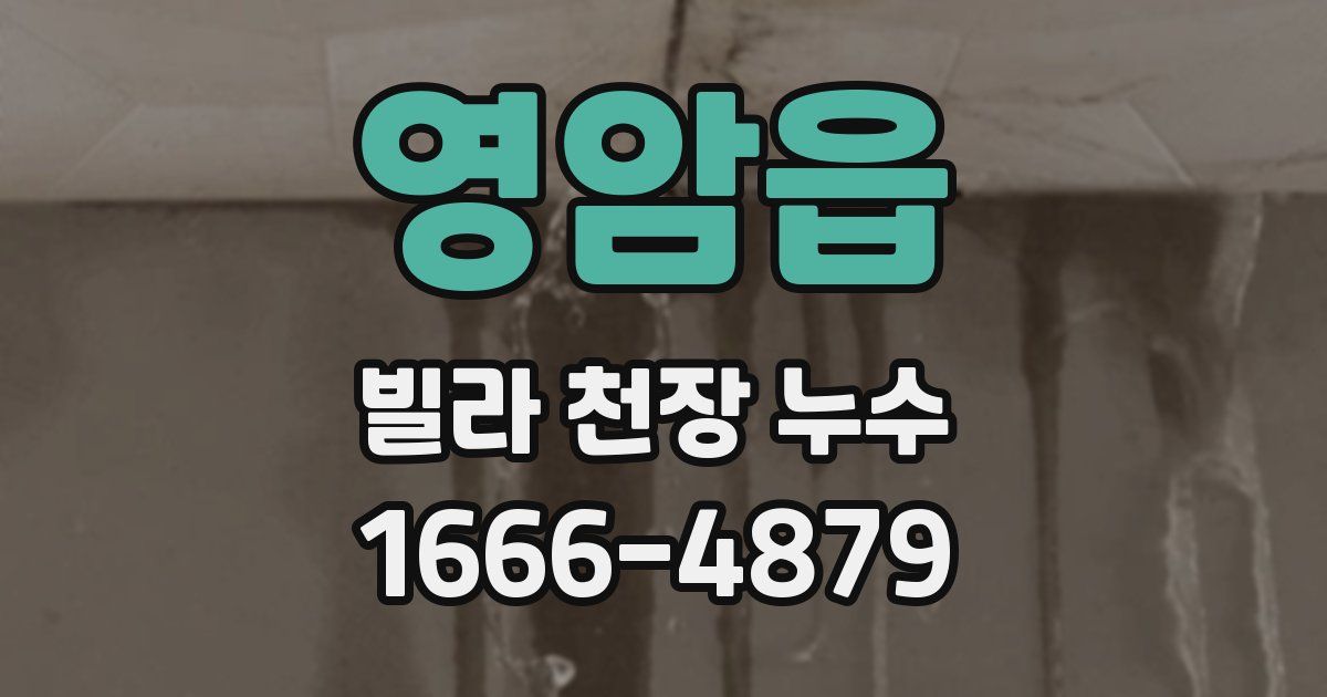 영암읍 빌라 천장 누수