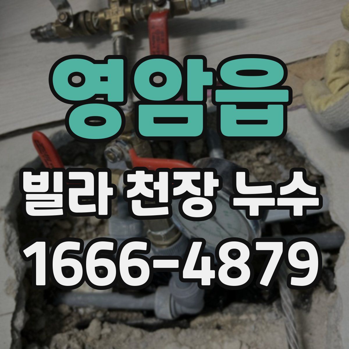 영암읍 빌라 천장 누수