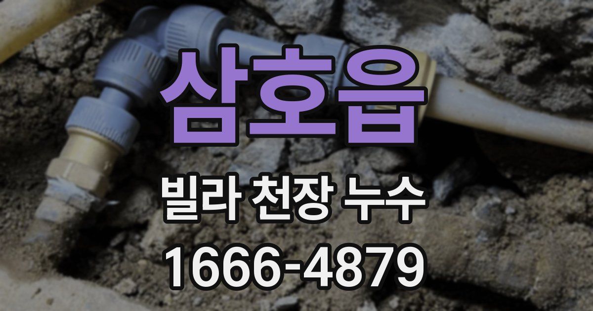 삼호읍 빌라 천장 누수