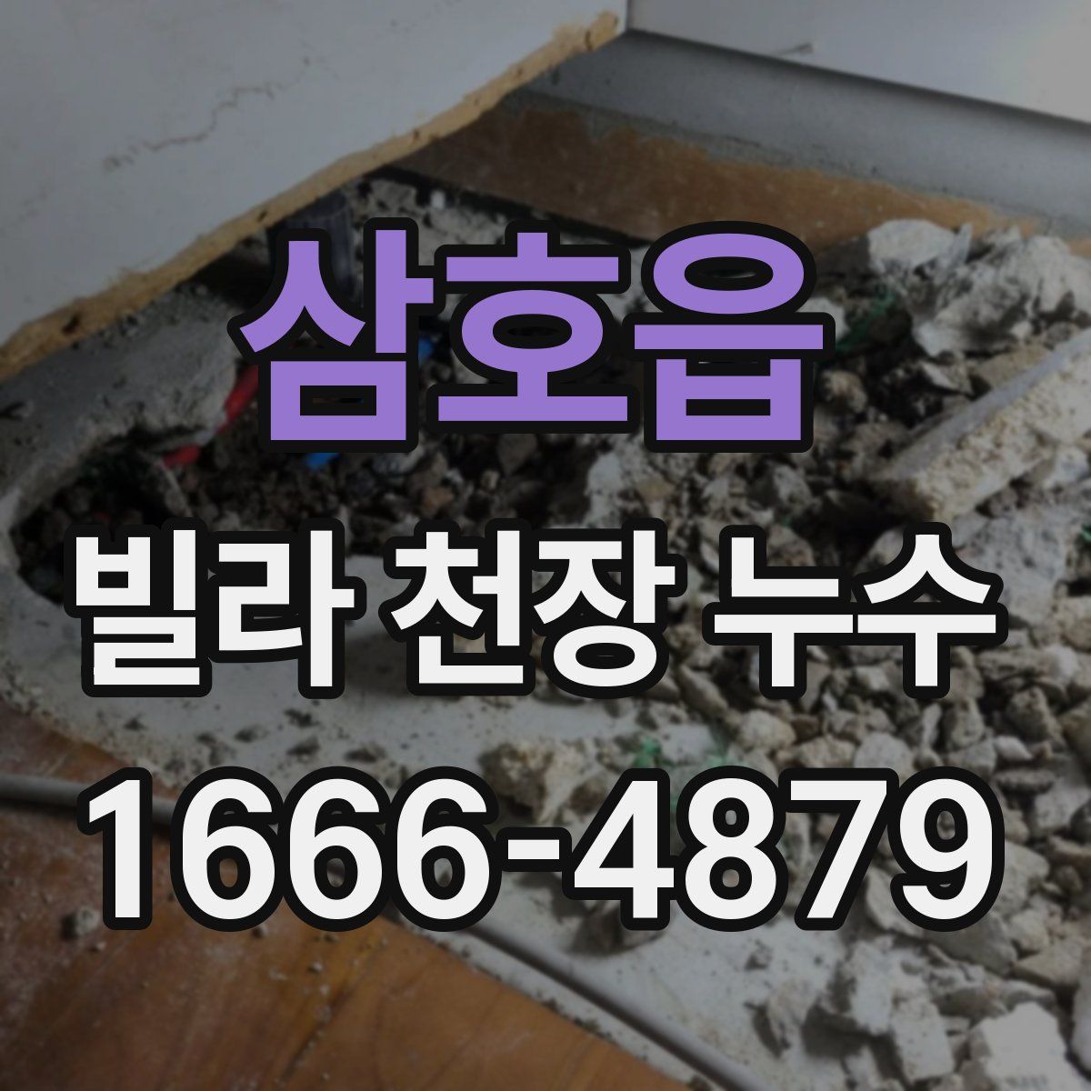삼호읍 빌라 천장 누수