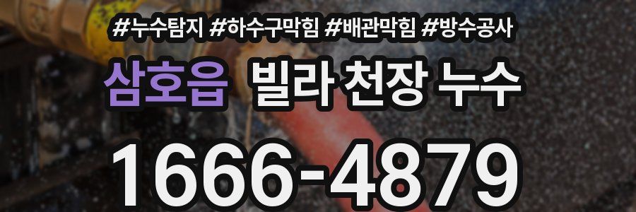 삼호읍 빌라 천장 누수