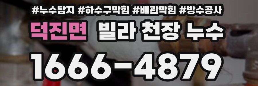 덕진면 빌라 천장 누수