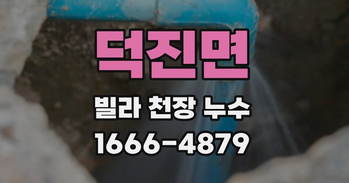 덕진면 빌라 천장 누수