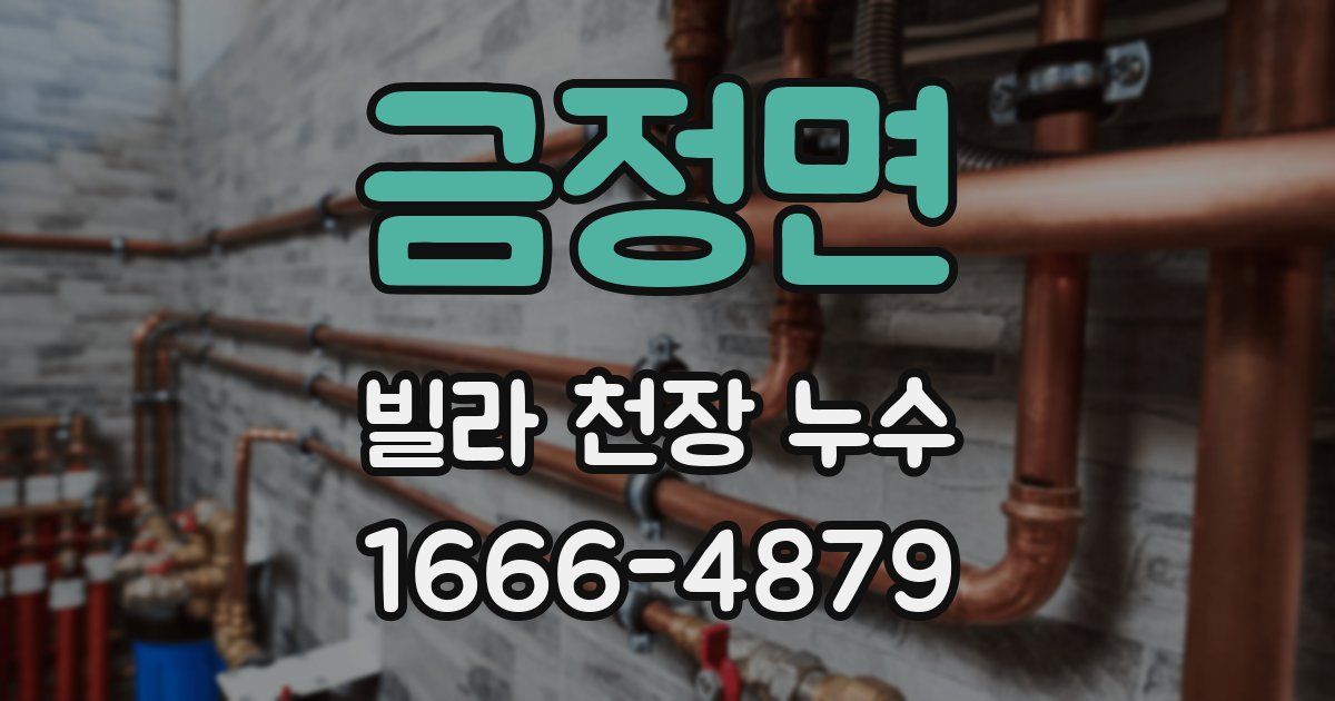 금정면 빌라 천장 누수
