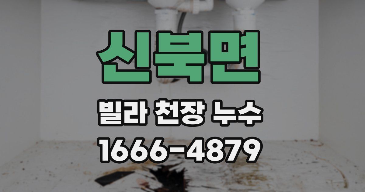 신북면 빌라 천장 누수