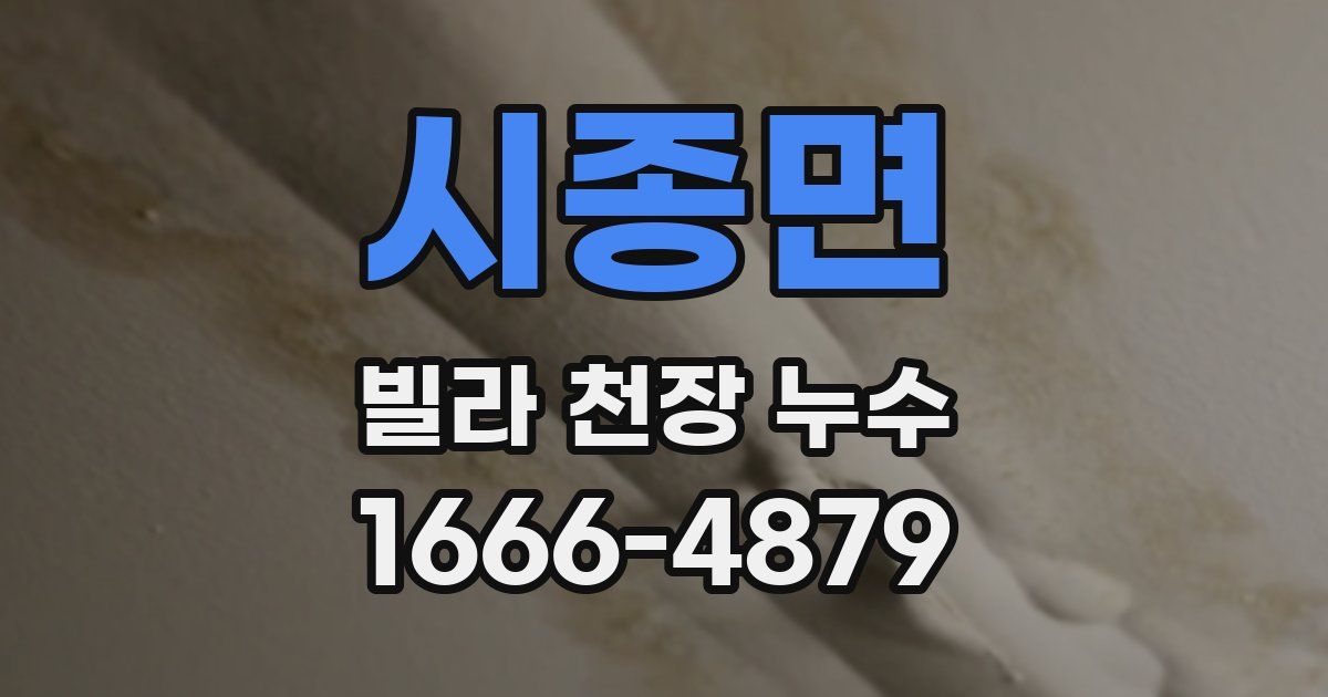 시종면 빌라 천장 누수
