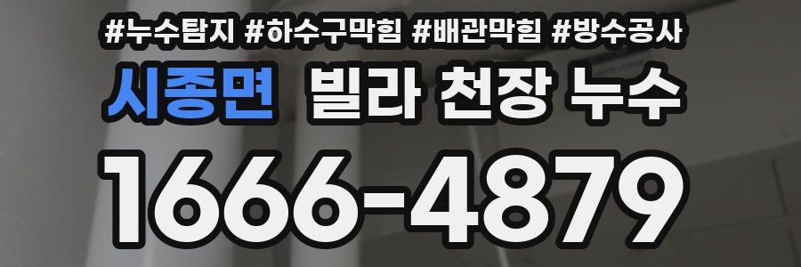 시종면 빌라 천장 누수