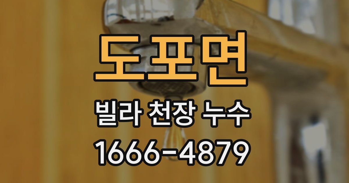 도포면 빌라 천장 누수
