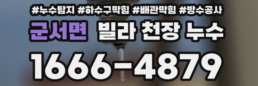 군서면 빌라 천장 누수