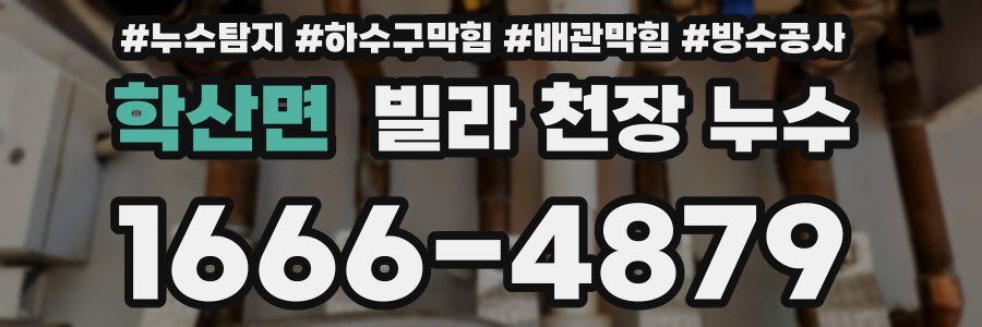 학산면 빌라 천장 누수
