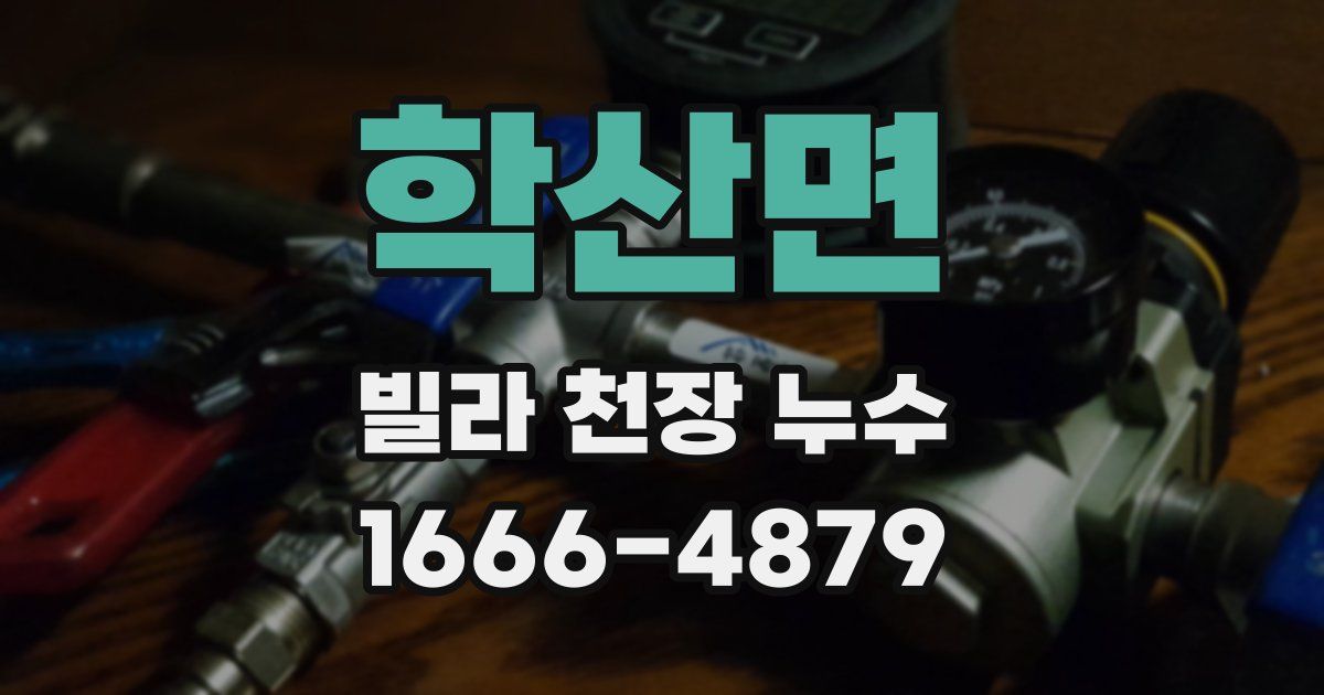학산면 빌라 천장 누수
