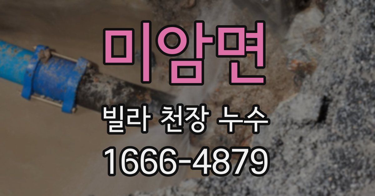 미암면 빌라 천장 누수
