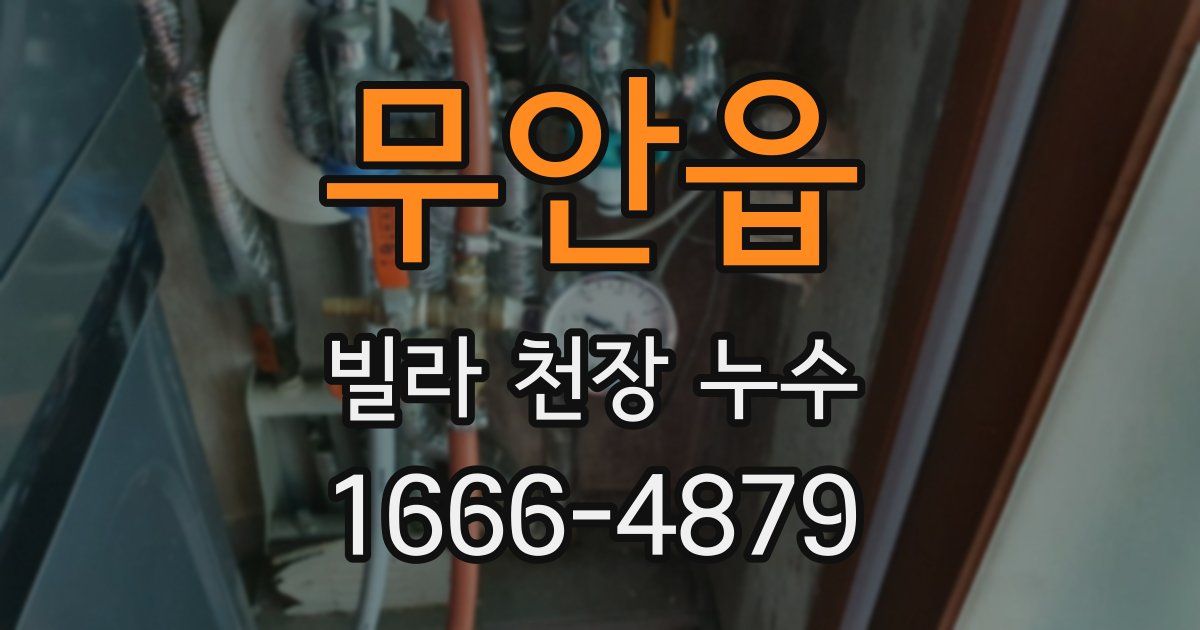 무안읍 빌라 천장 누수
