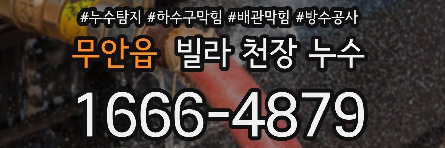 무안읍 빌라 천장 누수