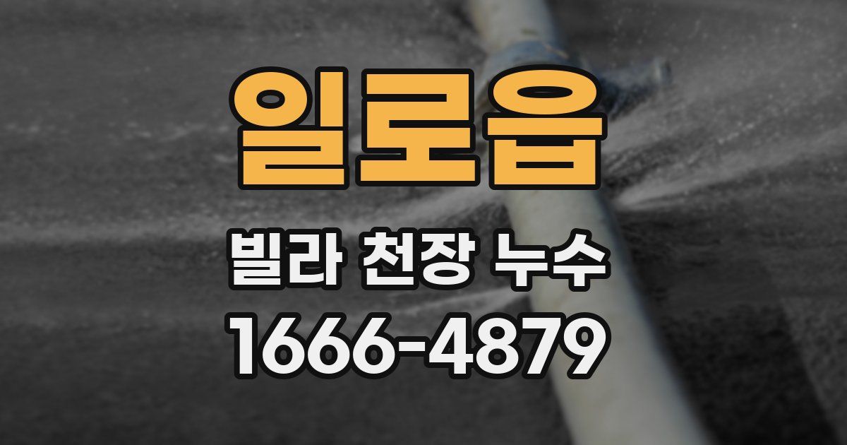 일로읍 빌라 천장 누수