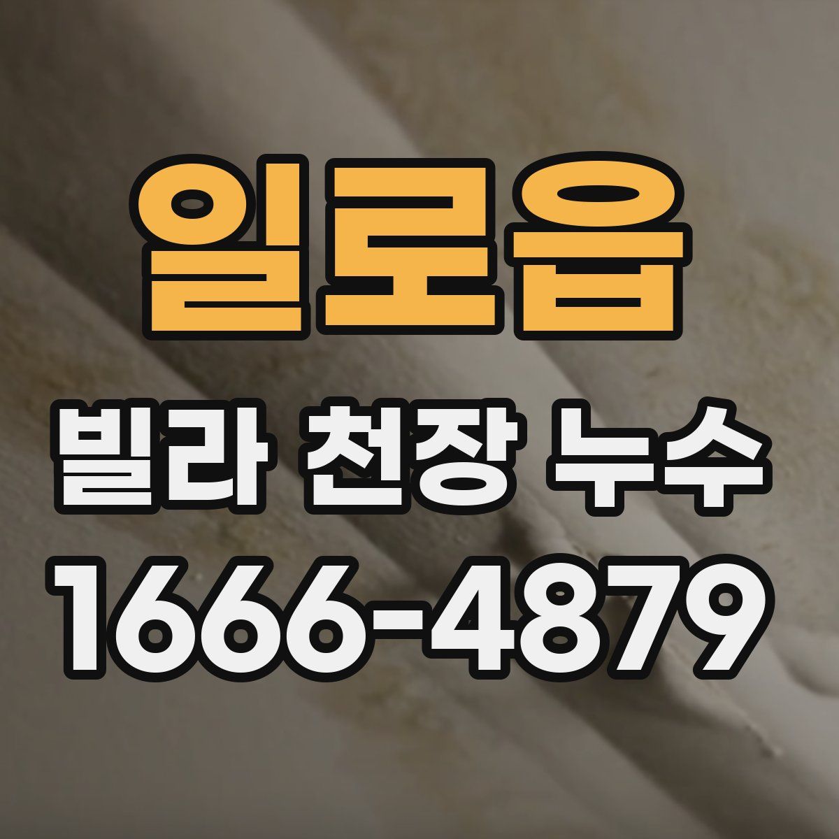 일로읍 빌라 천장 누수