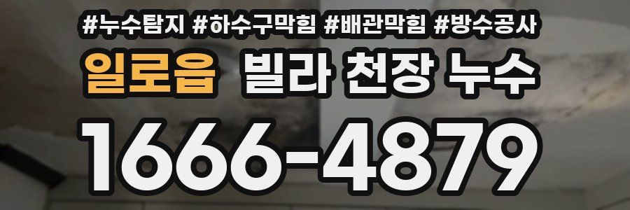 일로읍 빌라 천장 누수