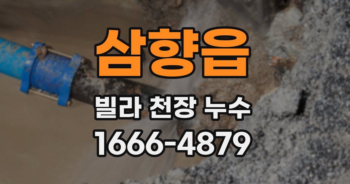 삼향읍 빌라 천장 누수