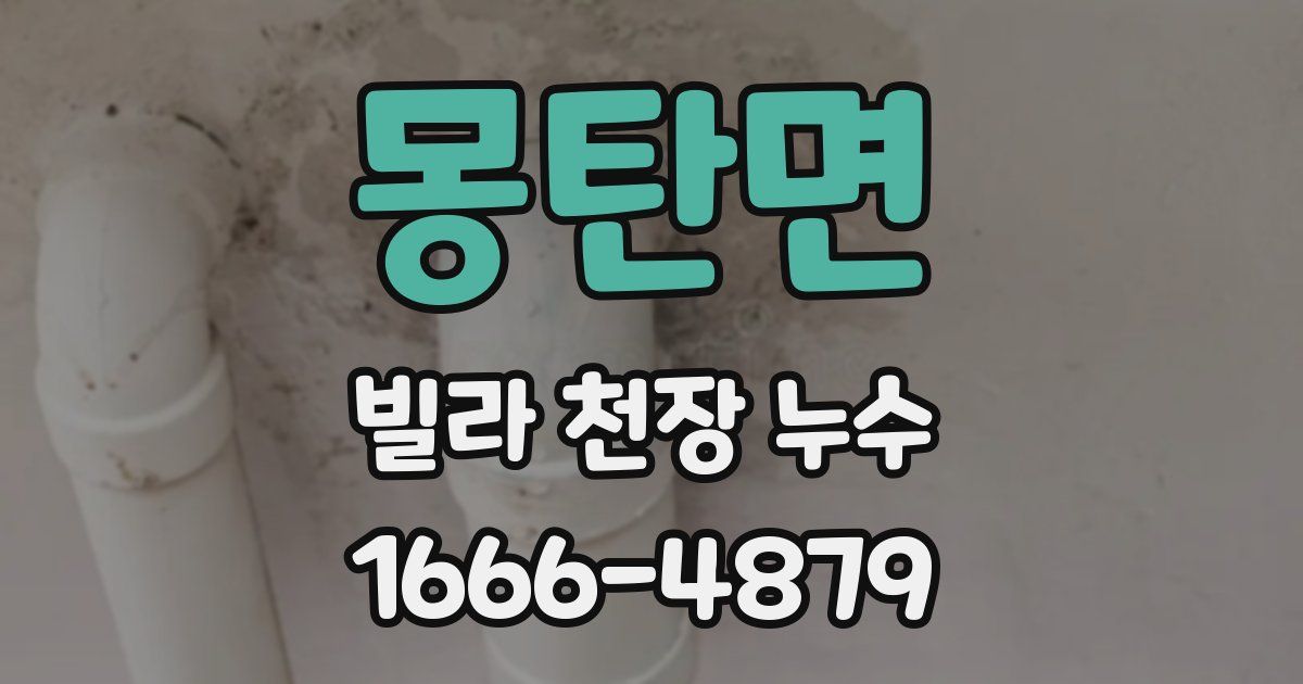 몽탄면 빌라 천장 누수