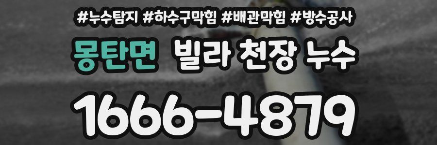 몽탄면 빌라 천장 누수