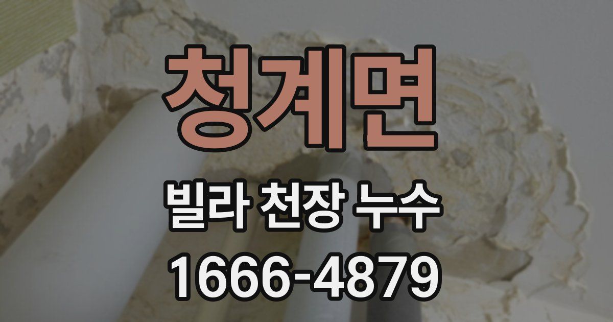 청계면 빌라 천장 누수