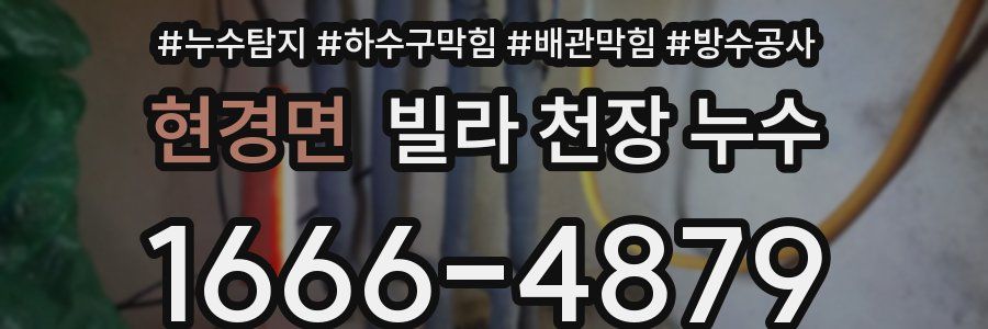 현경면 빌라 천장 누수