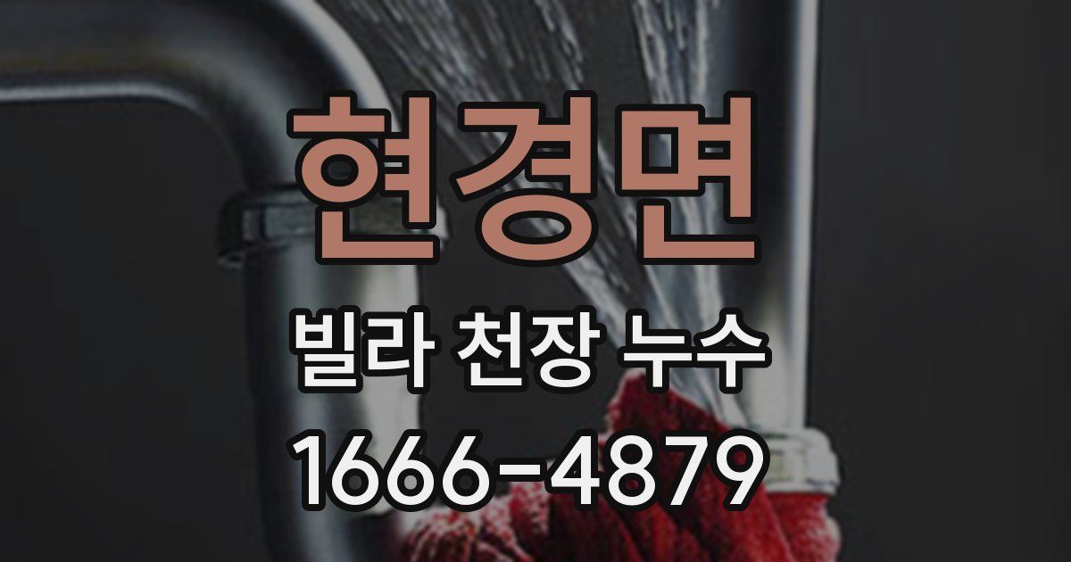 현경면 빌라 천장 누수