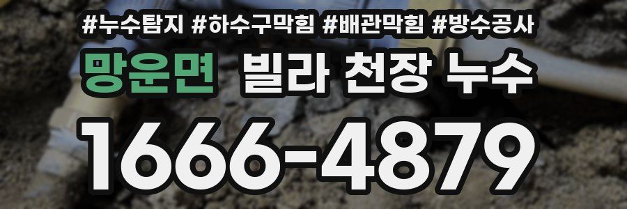 망운면 빌라 천장 누수