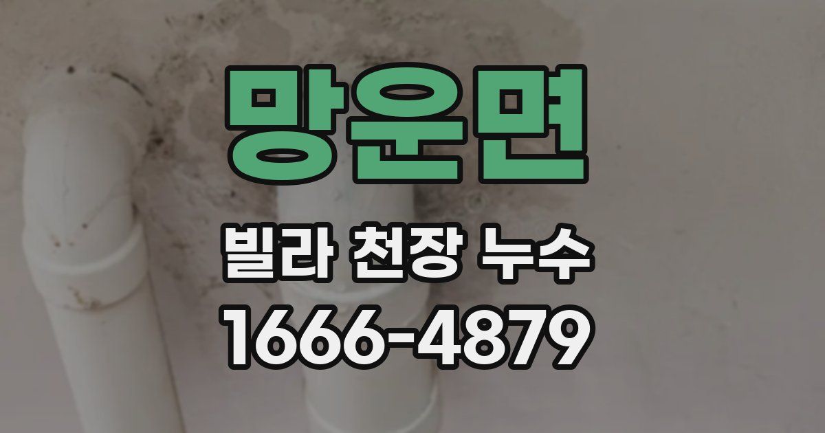 망운면 빌라 천장 누수