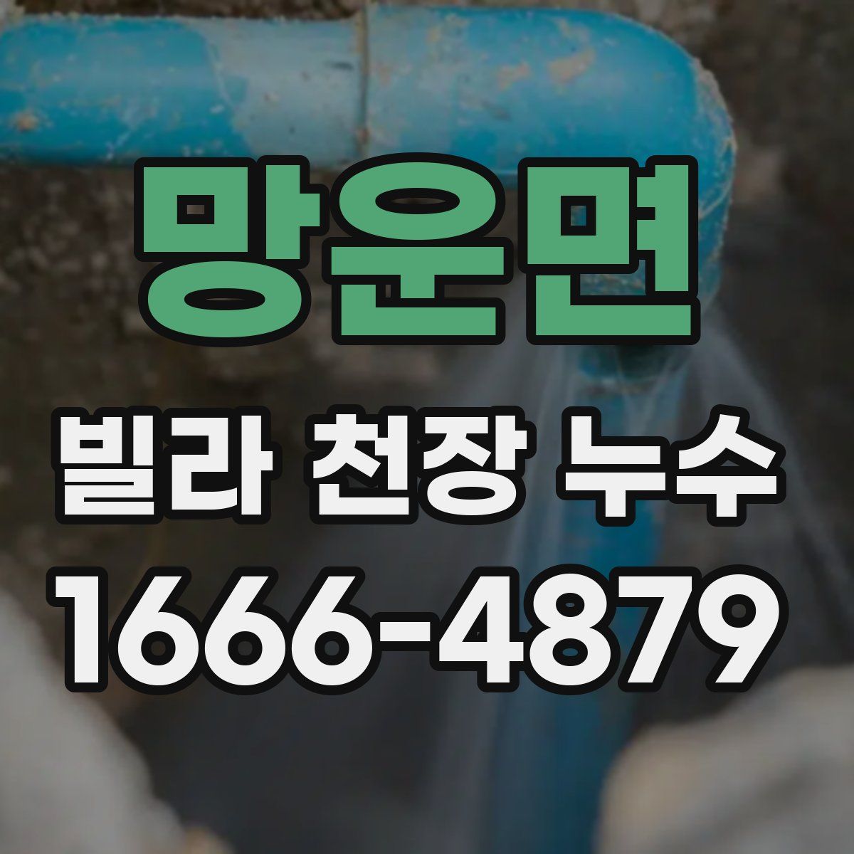 망운면 빌라 천장 누수