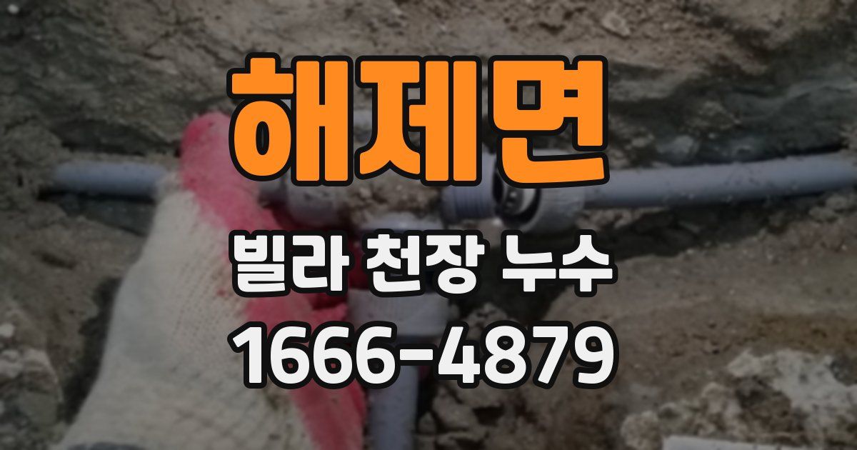 해제면 빌라 천장 누수