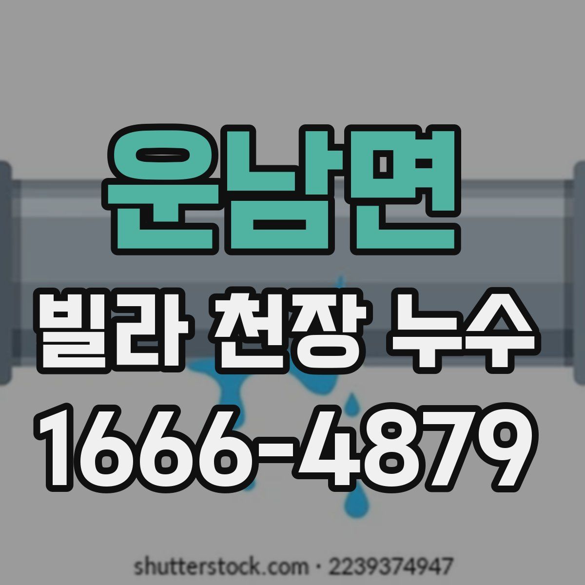운남면 빌라 천장 누수