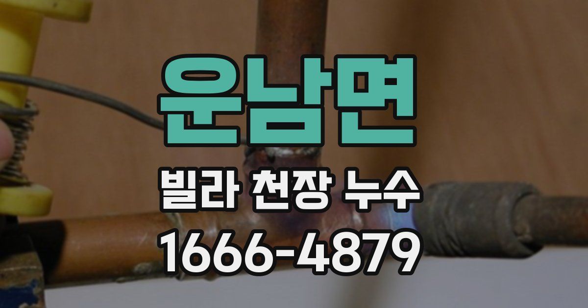 운남면 빌라 천장 누수
