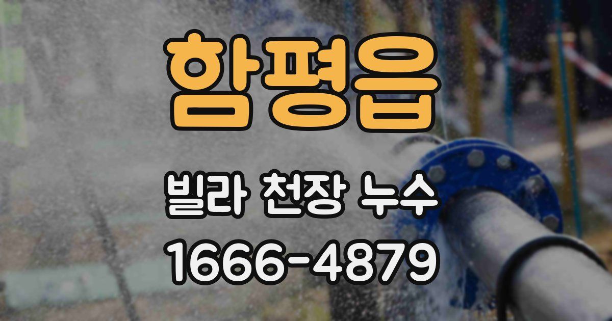함평읍 빌라 천장 누수