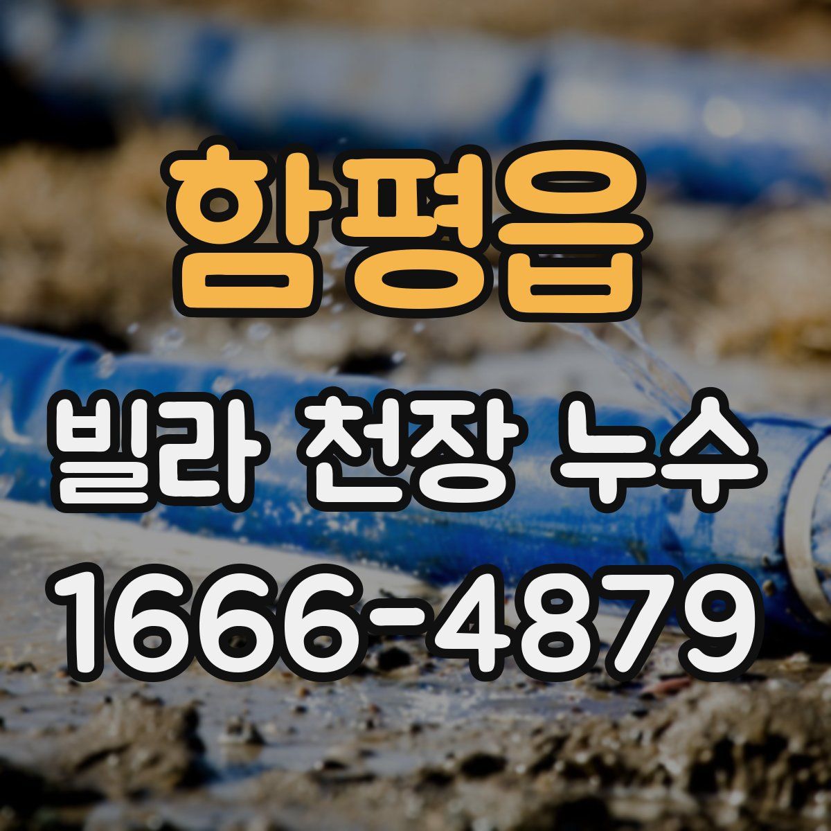 함평읍 빌라 천장 누수