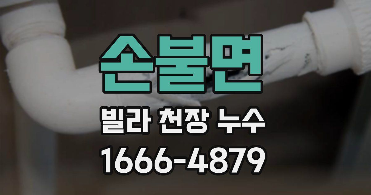 손불면 빌라 천장 누수
