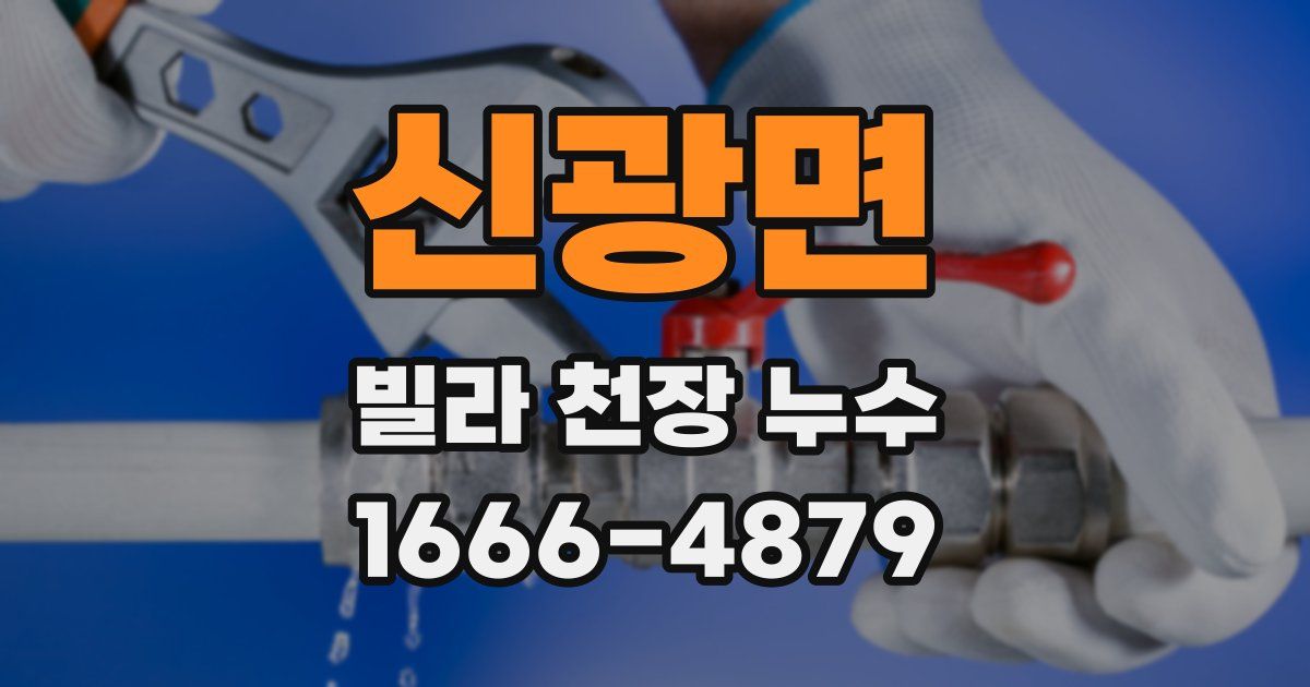 신광면 빌라 천장 누수