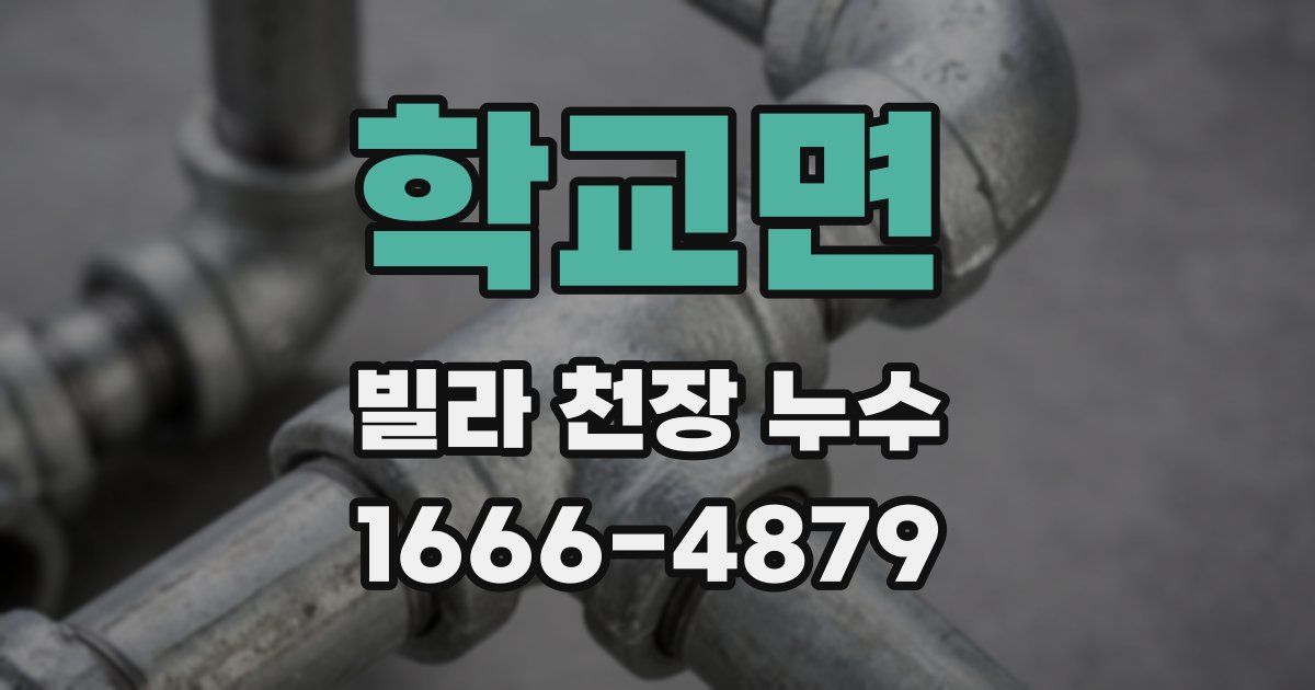 학교면 빌라 천장 누수