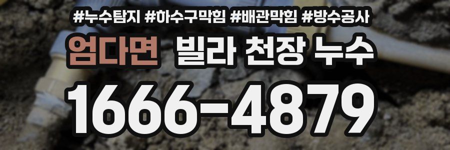 엄다면 빌라 천장 누수