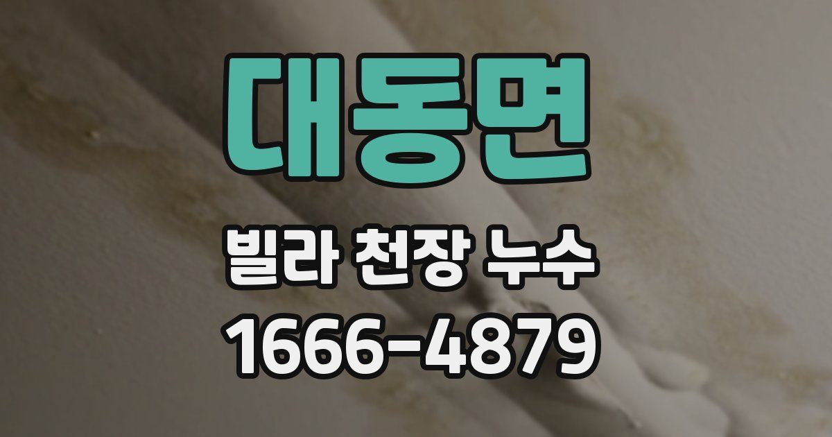 대동면 빌라 천장 누수