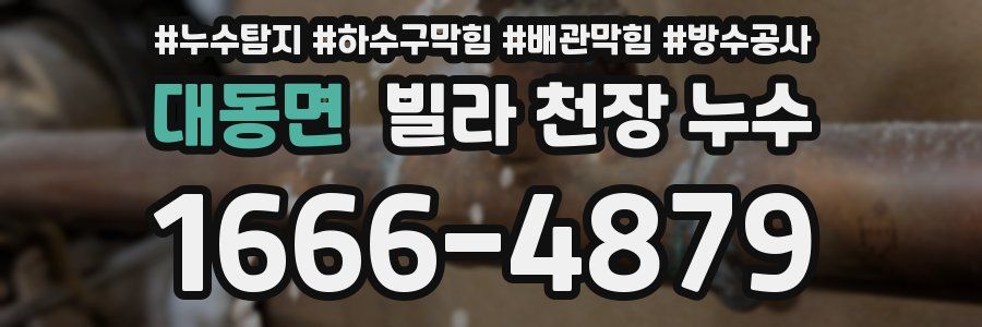 대동면 빌라 천장 누수