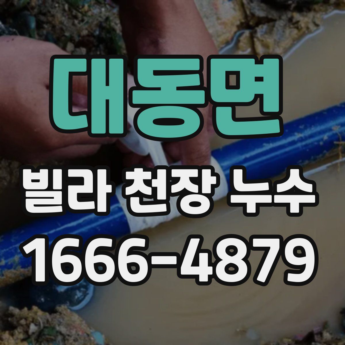 대동면 빌라 천장 누수